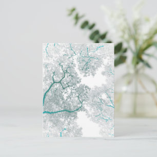 Trees Map 3 Postcard