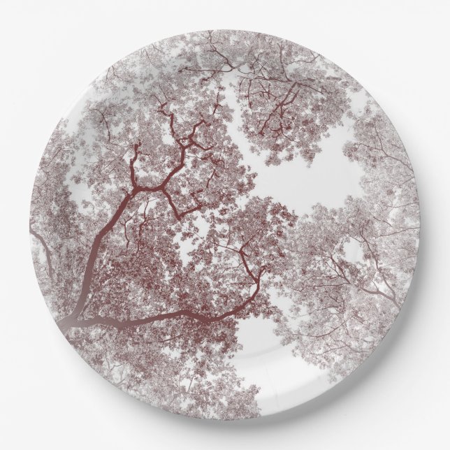 Trees Map 4 Paper Plate (Front)