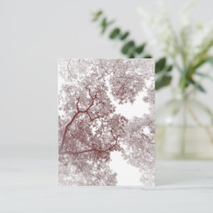 Trees Map 4 Postcard