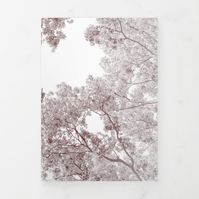 Trees Map 4 Tri-Fold Holiday Card (Cover)