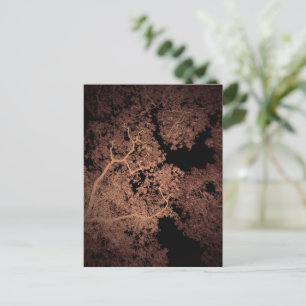 Trees Map 5 Postcard