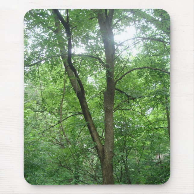 Trees Mouse Pad (Front)