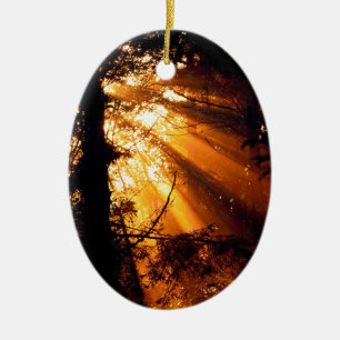 Trees Mystic Sunbeams Olympic Ceramic Ornament