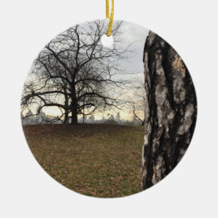 Trees New York NYC Sunrise Central Park Skyline Ceramic Ornament