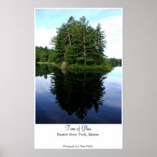 Trees of Glass Poster