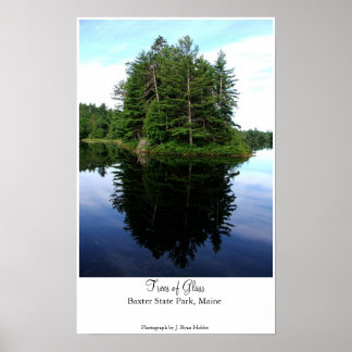 Trees of Glass Poster