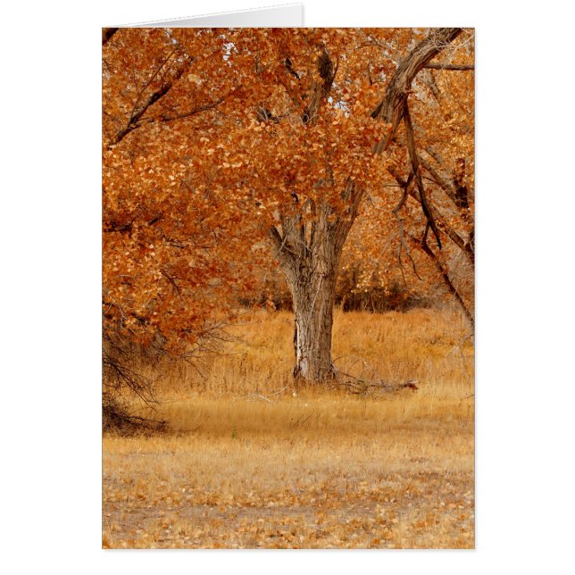 trees of gold (Front)