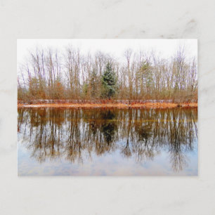 Trees of the Season - Ashuelot River Park Postcard