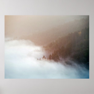 Trees on mountain covered with fogs poster