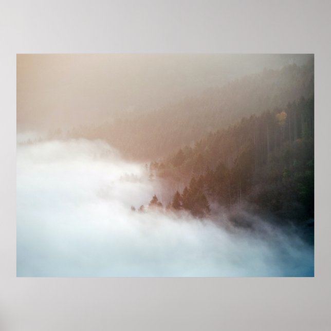 Trees on mountain covered with fogs poster (Front)