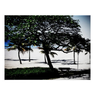 Trees on the Beach, Santos, Brazil Poster