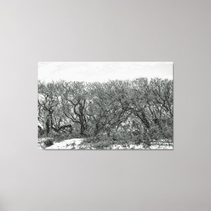 Trees On The Windy Dunes - Black and White Canvas Print
