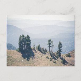 Trees Overlooking Lassen   Postcard