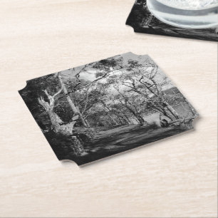 TREES PAPER COASTER