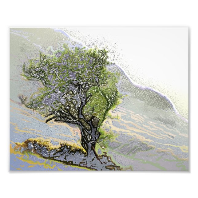 TREES PHOTO PRINT (Front)