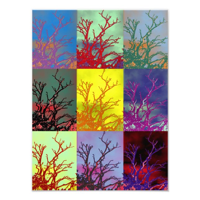 TREES PHOTO PRINT (Front)