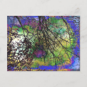 Trees Postcard