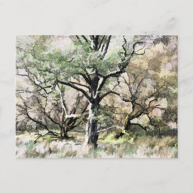 TREES POSTCARD (Front)