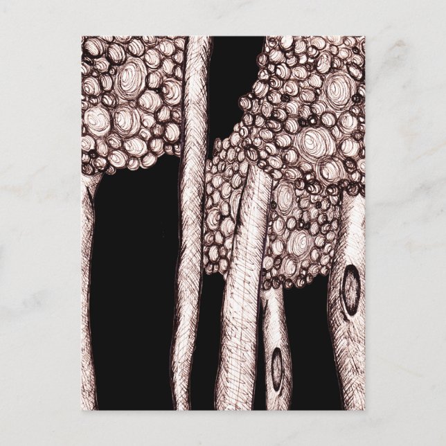 Trees Postcard (Front)