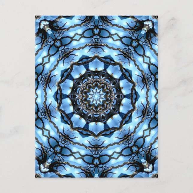 TREES POSTCARD (Front)