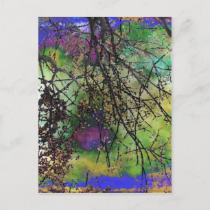 Trees Postcard