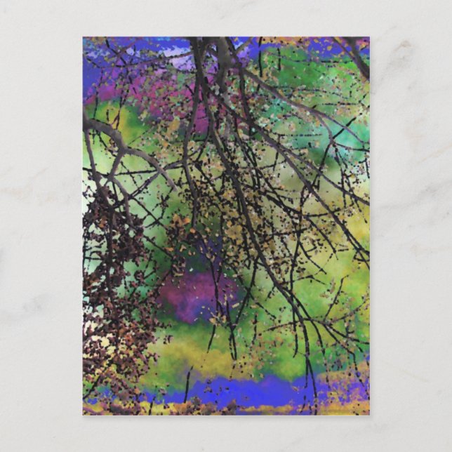Trees Postcard (Front)