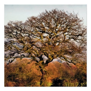 TREES POSTER