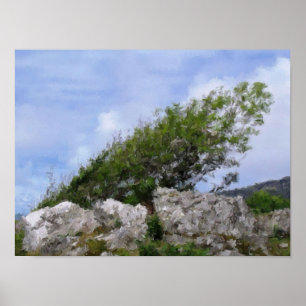 TREES POSTER