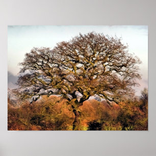 TREES POSTER