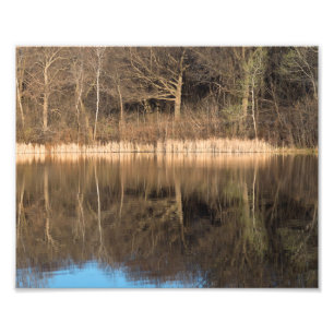 Trees Reeds and Reflections at Marthaler Park Photo Print