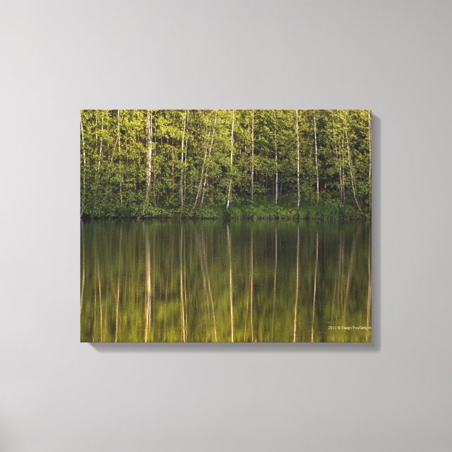 Trees Reflected In The Water Canvas Print (Front)