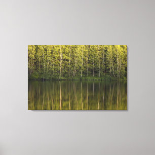 Trees Reflected In The Water Canvas Print