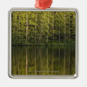 Trees Reflected In The Water Metal Ornament