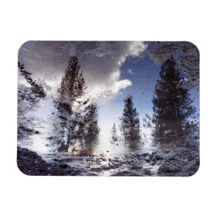 Trees reflecting in rain puddle water magnet