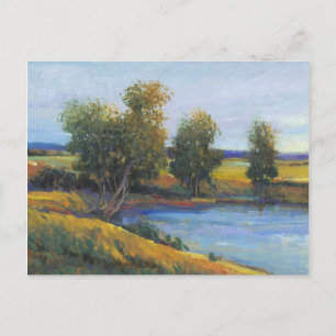 Tree's Reflection II Postcard