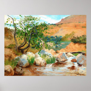 Trees Rocks Mountain View Poster