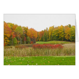 "TREES SHOW OFF FALL COLOR"/ MICHIGAN LOCALE