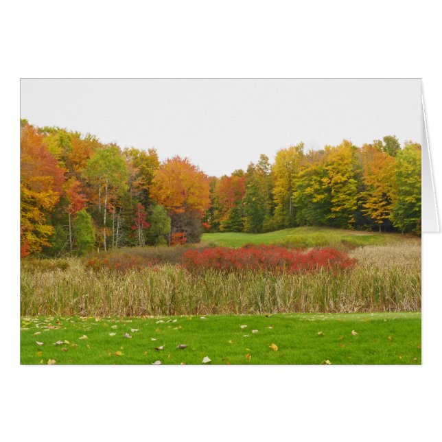 "TREES SHOW OFF FALL COLOR"/ MICHIGAN LOCALE (Front Horizontal)