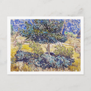 Trees Shrubs Asylum Garden Vincent Van Gogh Postcard