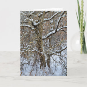 Trees Snow Winter Art Note Card