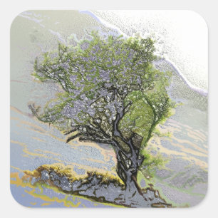 TREES SQUARE STICKER