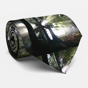 Trees - Sunlight Through Forest Tie