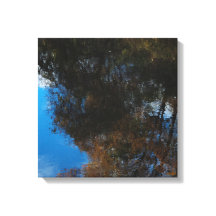 Trees Water Reflection II Stretched Canvas Print