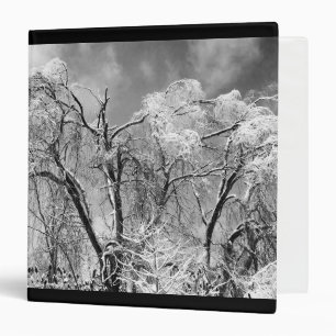 trees wear winter binder