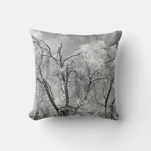 trees wear winter outdoor pillow (Front)