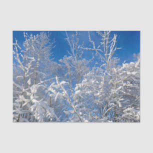 Trees Winter Snow Covered Blue Sky Scenery Tissue Paper