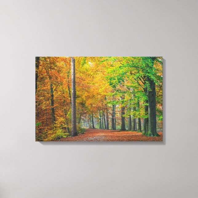 Trees with autumn foliage in a forest canvas print (Front)