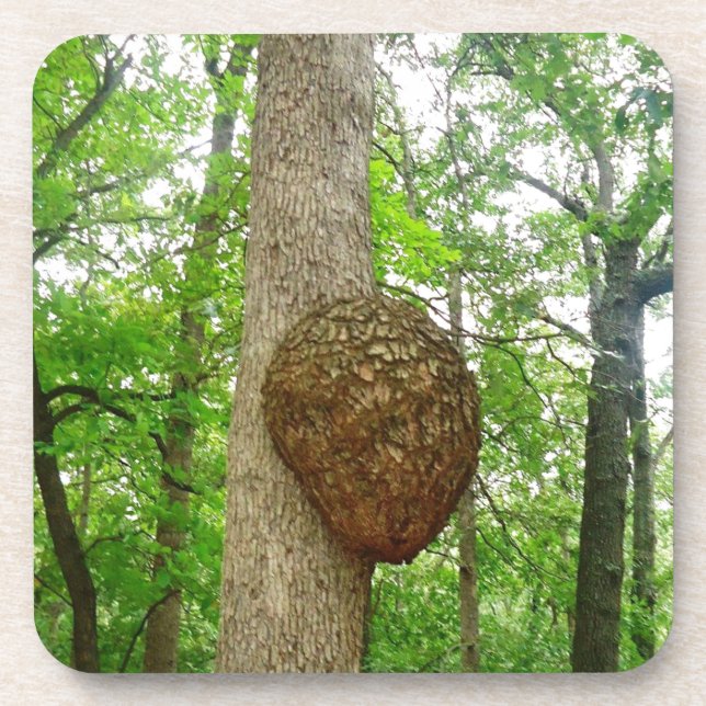 Trees with Large enclosed Bee Wasp Hive Coaster (Front)