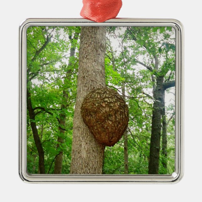 Trees with Large enclosed Bee Wasp Hive Metal Ornament (Front)