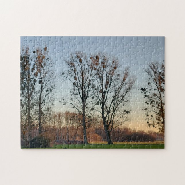 Trees with Mistletoe Against a Clear Sky Jigsaw Puzzle (Horizontal)